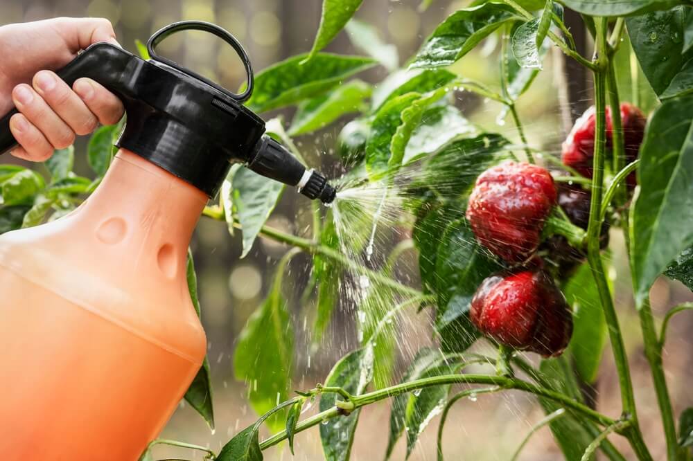 pesticides